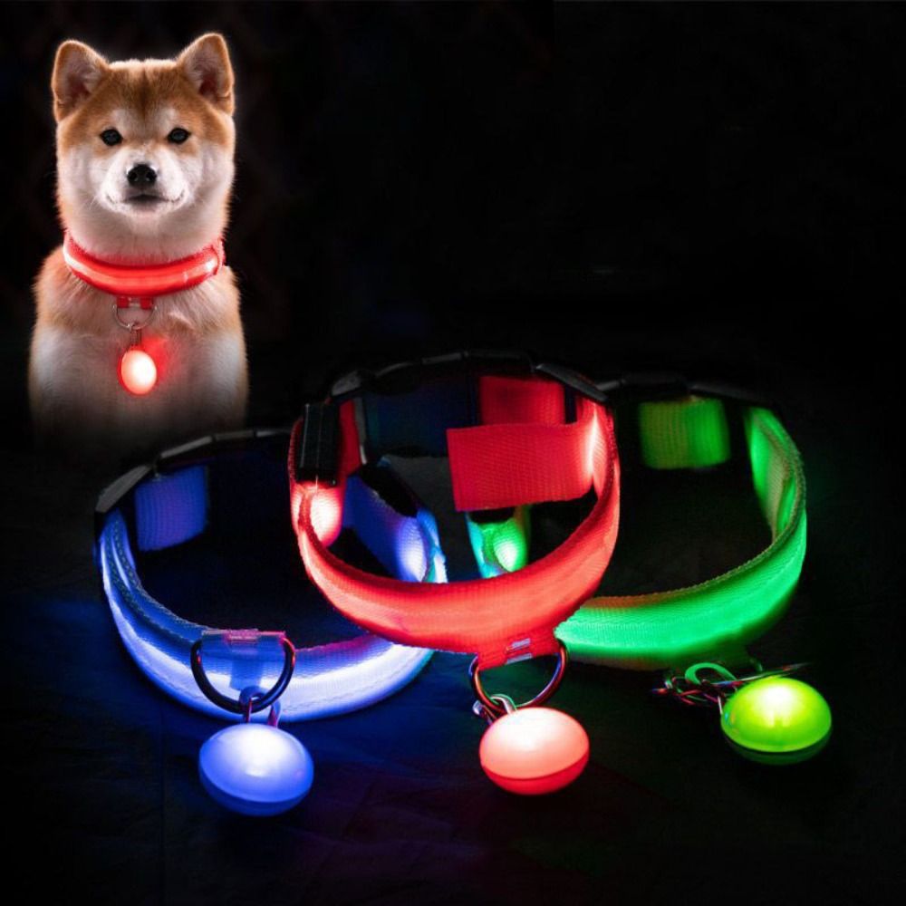 USB充電式 光る犬用首輪 ペンダント付き 取り外し可能 高 - Tech Dog Accessories のレビューと価格