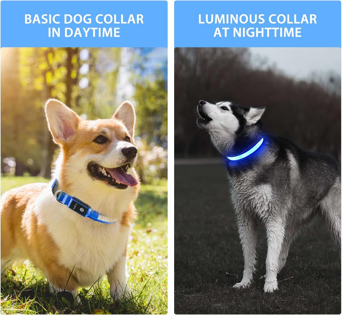 USB LED 犬用首輪ライト - 調節可能で快適なソフトメ - Tech Dog Accessories のレビューと価格
