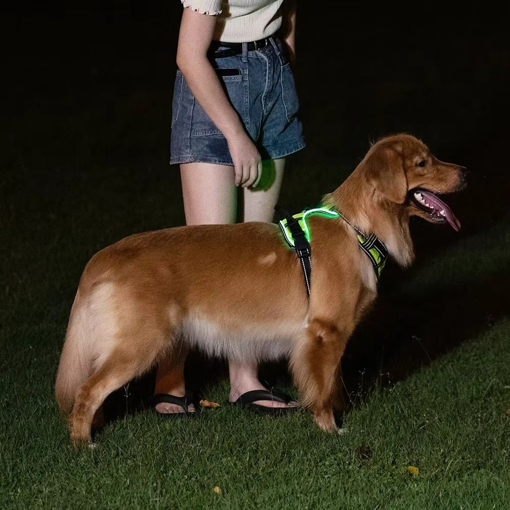耐久性のあるLEDライトアップ犬用ハーネス、調節可能な点滅発 - Tech Dog Accessories のレビューと価格