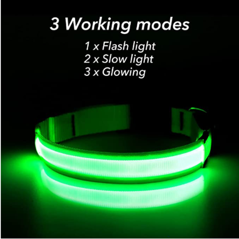 USB 充電式発光首輪調節可能な LED 光る犬用首輪大型小 - Tech Dog Accessories のレビューと価格