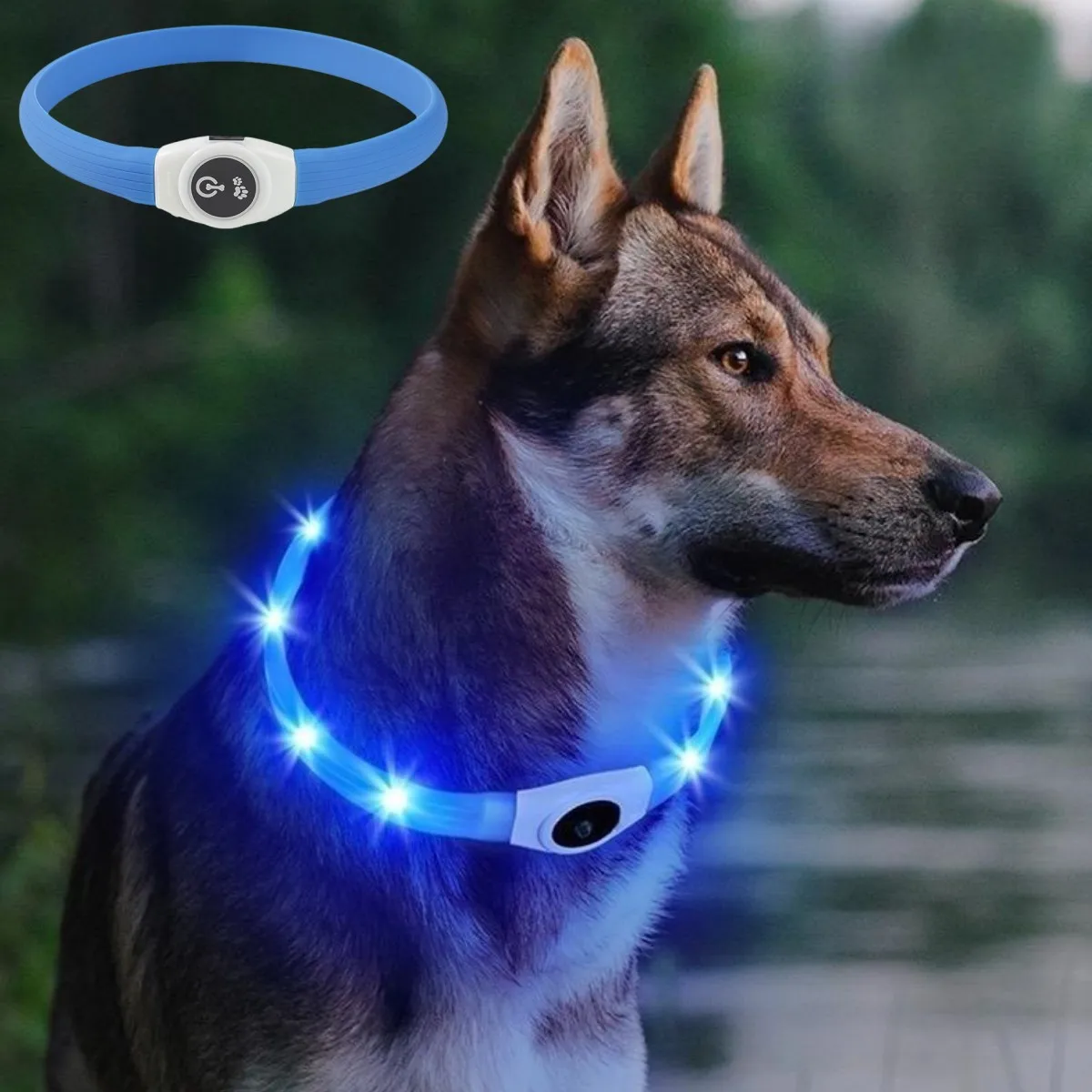 新しい Led 発光犬の首輪 PVC 防水、大中小型犬の首輪 - Tech Dog Accessories のレビューと価格