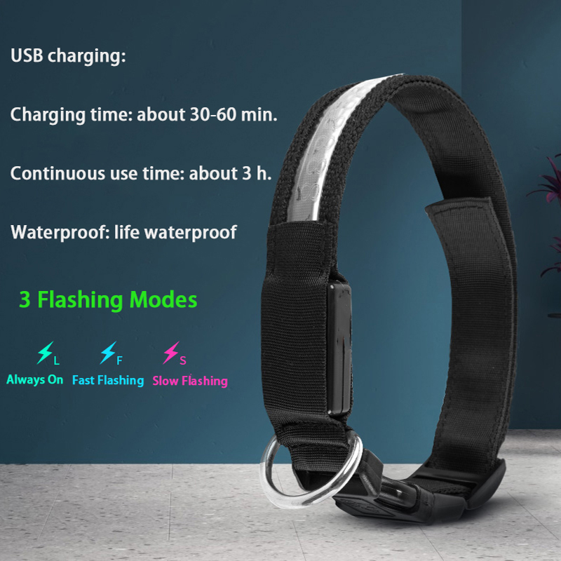 彫刻 ID LED 犬の首輪発光 USB カスタム犬タグパー - Tech Dog Accessories のレビューと価格