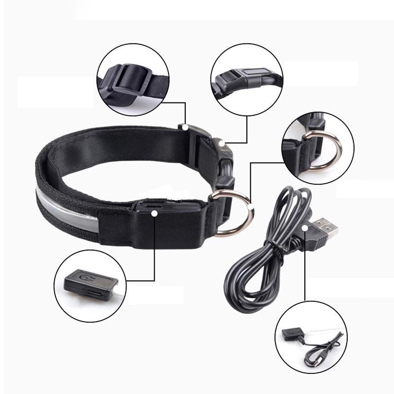 彫刻 ID LED 犬の首輪発光 USB カスタム犬タグパー - Tech Dog Accessories のレビューと価格